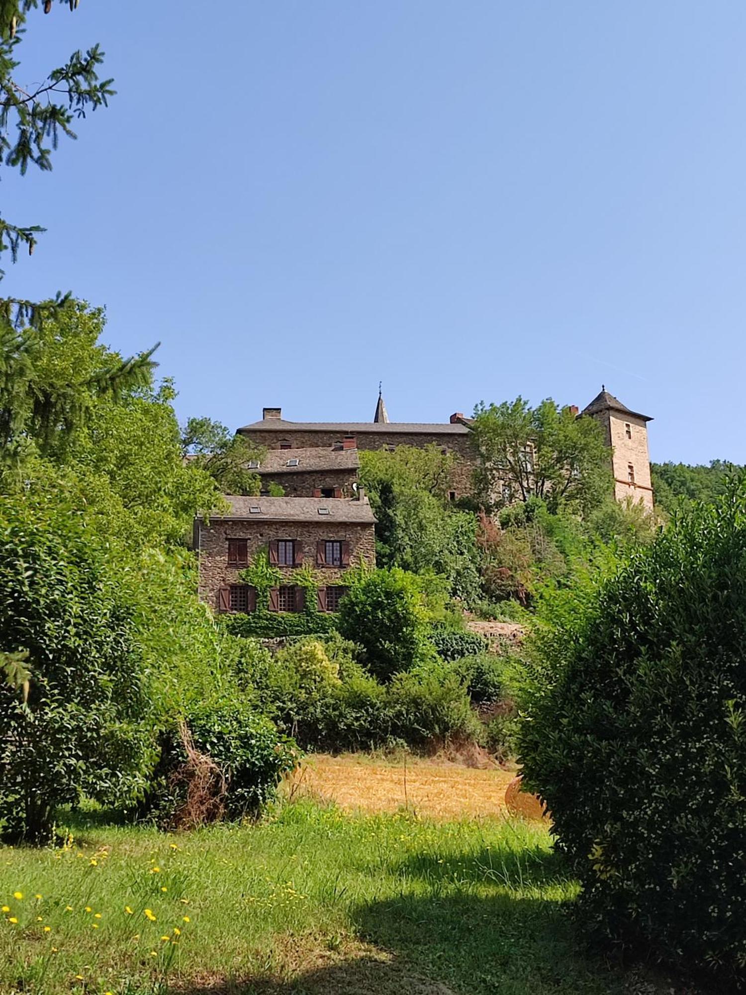 הוילה Saint-Just-sur-Viaur Gite L'0Livier Avec Piscine En Aveyron מראה חיצוני תמונה